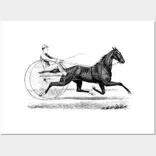 Harness Racing Horse Black and White Illustration Posters and Art